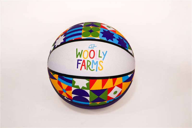WF Custom Basketball