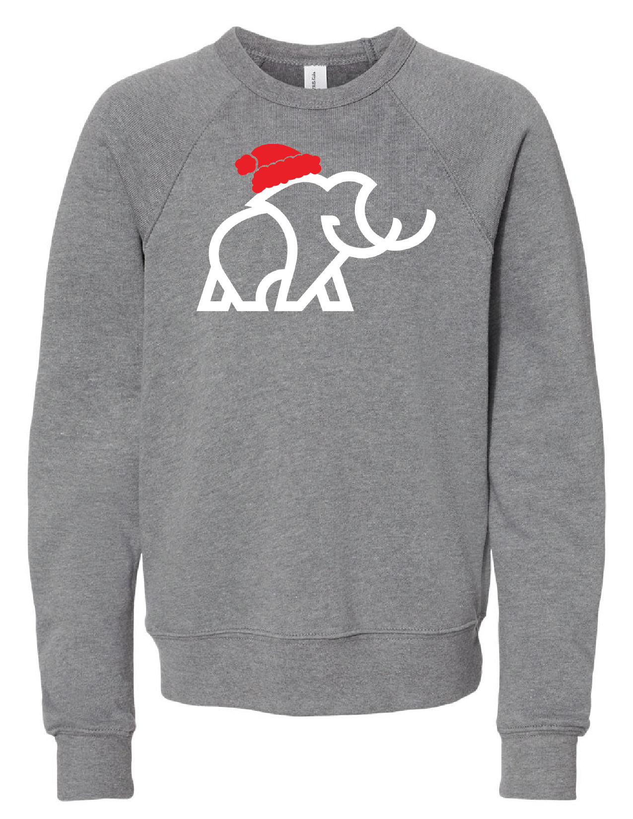Youth WF Christmas Sweatshirt